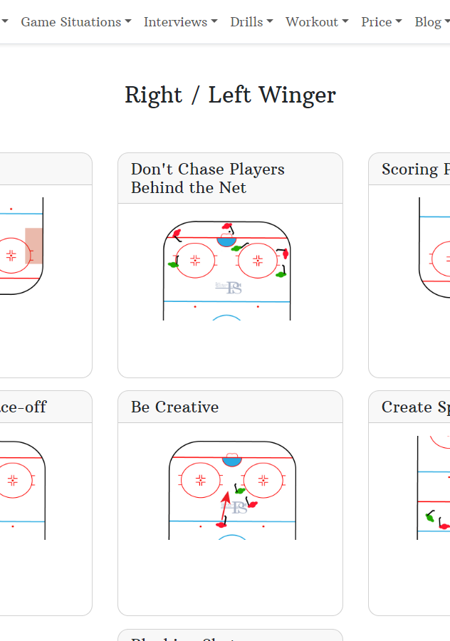 Ice Hockey Platform